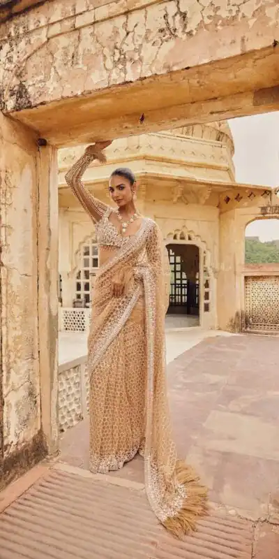 Cream Butterfly Net With Embroidery Work Saree | Sarees, Bollywood Sarees, Creative Sarees, Designer Sarees, Embroidered Sarees, Ethnic Saree, Modern Digital sarees, Party Wear Sarees