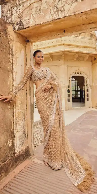 Cream Butterfly Net With Embroidery Work Saree | Sarees, Bollywood Sarees, Creative Sarees, Designer Sarees, Embroidered Sarees, Ethnic Saree, Modern Digital sarees, Party Wear Sarees