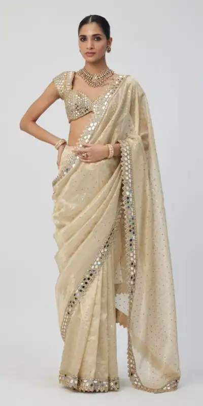 Cream Organza Sequins Saree | Sarees, Bollywood Sarees, Creative Sarees, Designer Sarees, Embroidered Sarees, Ethnic Saree, Modern Digital sarees, Party Wear Sarees