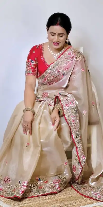 Cream Organza Silk Embroidery Cut Work Saree | Sarees, Bollywood Sarees, Creative Sarees, Designer Sarees, Embroidered Sarees, Ethnic Saree, Modern Digital sarees, Party Wear Sarees