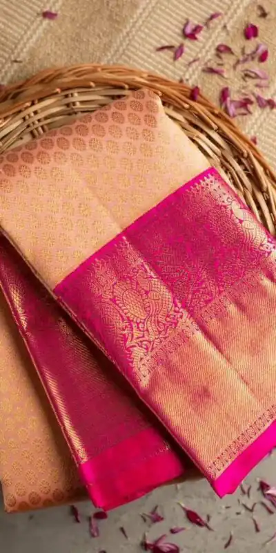 Cream Soft Lichi Silk Border Lace Work Saree | Sarees, Bollywood Sarees, Creative Sarees, Designer Sarees, Embroidered Sarees, Ethnic Saree, Modern Digital sarees, Party Wear Sarees