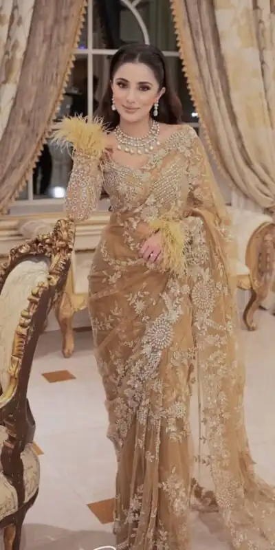 Gold Mono Net Embroidery Print Saree | Sarees, Bollywood Sarees, Creative Sarees, Designer Sarees, Embroidered Sarees, Ethnic Saree, Modern Digital sarees, Party Wear Sarees