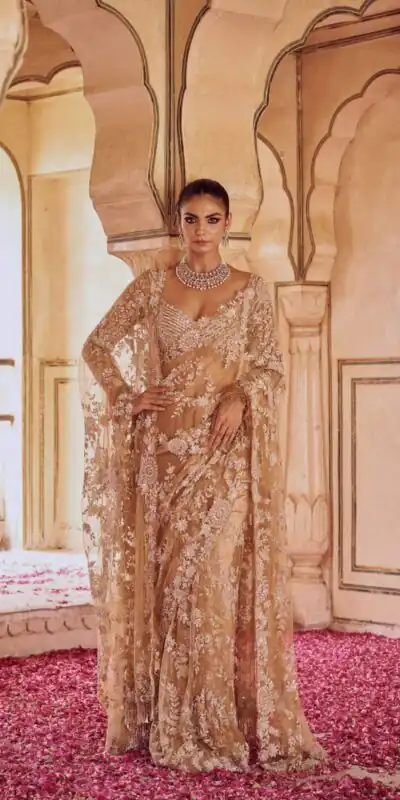 Gold Mono Net Embroidery Print Saree | Sarees, Bollywood Sarees, Creative Sarees, Designer Sarees, Embroidered Sarees, Ethnic Saree, Modern Digital sarees, Party Wear Sarees