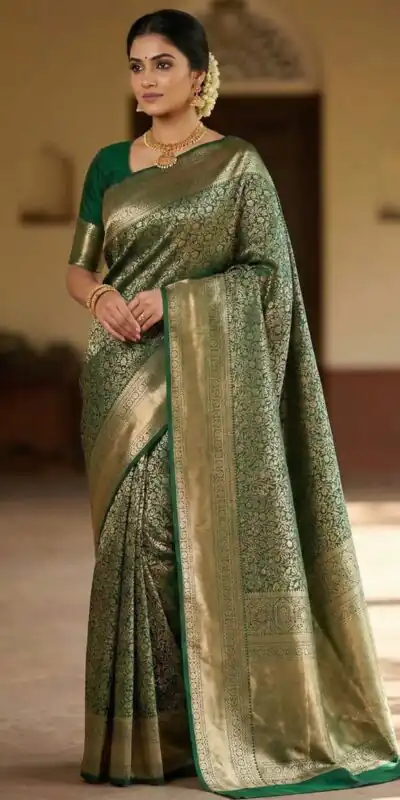 Green Lichi Silk All Over Border Work Saree | Sarees, Bollywood Sarees, Creative Sarees, Designer Sarees, Embroidered Sarees, Ethnic Saree, Modern Digital sarees, Party Wear Sarees