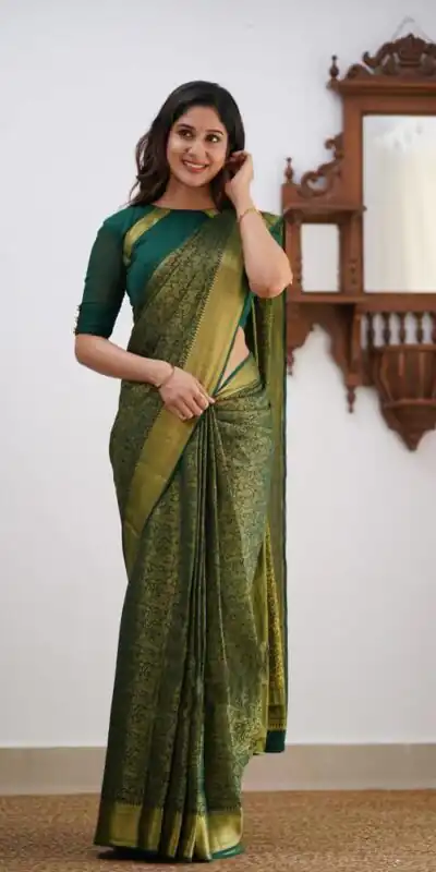 Green Lichi Silk Border Jacquard Work Saree | Sarees, Bollywood Sarees, Creative Sarees, Designer Sarees, Embroidered Sarees, Ethnic Saree, Modern Digital sarees, Party Wear Sarees