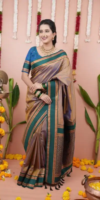 Grey Silk Paithni Weaving Zari Work Saree | Sarees, Bollywood Sarees, Creative Sarees, Designer Sarees, Embroidered Sarees, Ethnic Saree, Modern Digital sarees, Party Wear Sarees