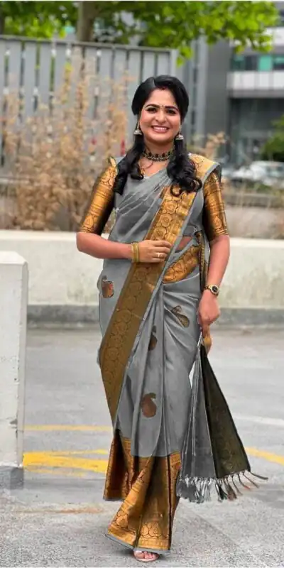 Grey Soft Lichi Silk Jacquard Work All Over Saree | Sarees, Bollywood Sarees, Creative Sarees, Designer Sarees, Embroidered Sarees, Ethnic Saree, Modern Digital sarees, Party Wear Sarees