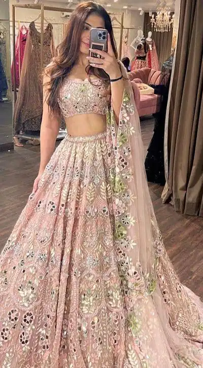 Light Pink Soft Net Embroidered Lehenga Choli | Lehenga, Bollywood Lehenga, Creative Lehenga, Designer Lehenga, Embroidered Lehenga, Party Wear Lehenga