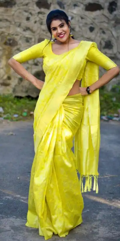 Light Yellow Soft Lichi Silk Zahlar Saree | Sarees, Bollywood Sarees, Creative Sarees, Designer Sarees, Embroidered Sarees, Ethnic Saree, Modern Digital sarees, Party Wear Sarees