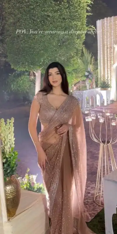 Majestic Chiku Net Sequins Work Saree | Sarees, Bollywood Sarees, Creative Sarees, Designer Sarees, Embroidered Sarees, Ethnic Saree, Modern Digital sarees, Party Wear Sarees