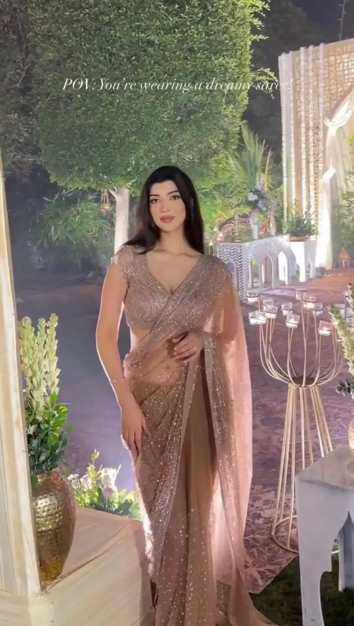 Majestic Chiku Net Sequins Work Saree | Sarees, Bollywood Sarees, Creative Sarees, Designer Sarees, Embroidered Sarees, Ethnic Saree, Modern Digital sarees, Party Wear Sarees