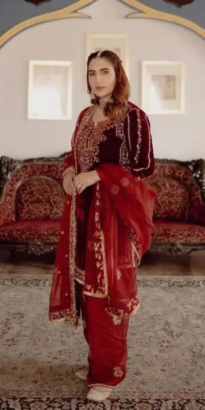 Maroon Organza Embroidery Work Salwar Suit | Jump Suits, Salwar suit, Casual Suits, Creative suits, Designer Suits, Palazzo Suits, Party Wear Suits, Patiala Suits, Straight Suits