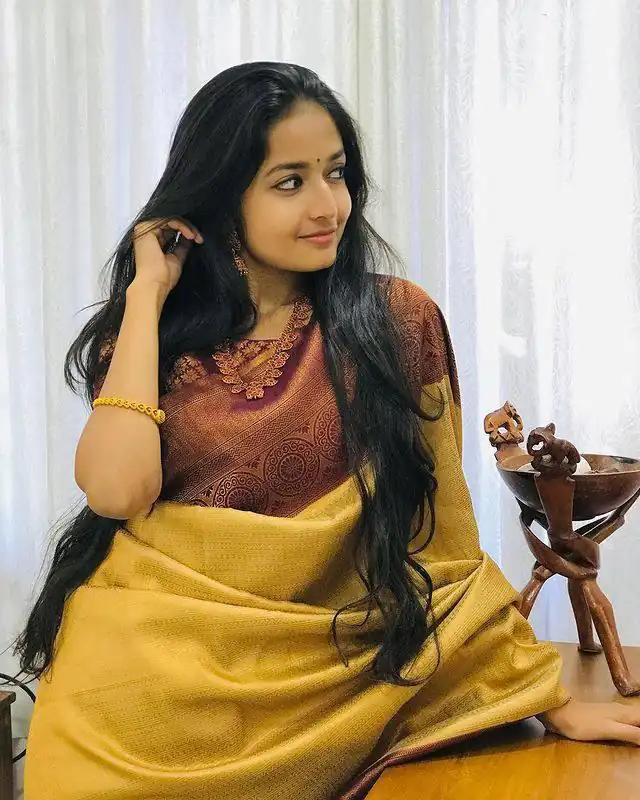 Mustered Soft Lichi Silk On All Over Saree | Sarees, Bollywood Sarees, Creative Sarees, Designer Sarees, Embroidered Sarees, Ethnic Saree, Modern Digital sarees, Party Wear Sarees