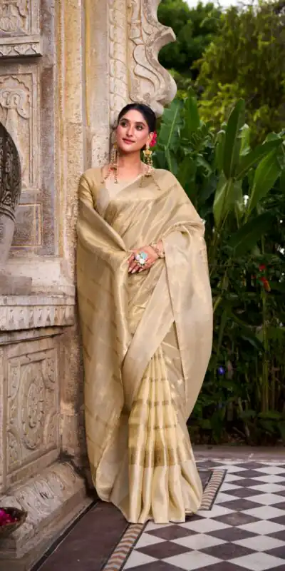 Off White Gold Tissue Zari Saree | Sarees, Bollywood Sarees, Creative Sarees, Designer Sarees, Embroidered Sarees, Ethnic Saree, Modern Digital sarees, Party Wear Sarees