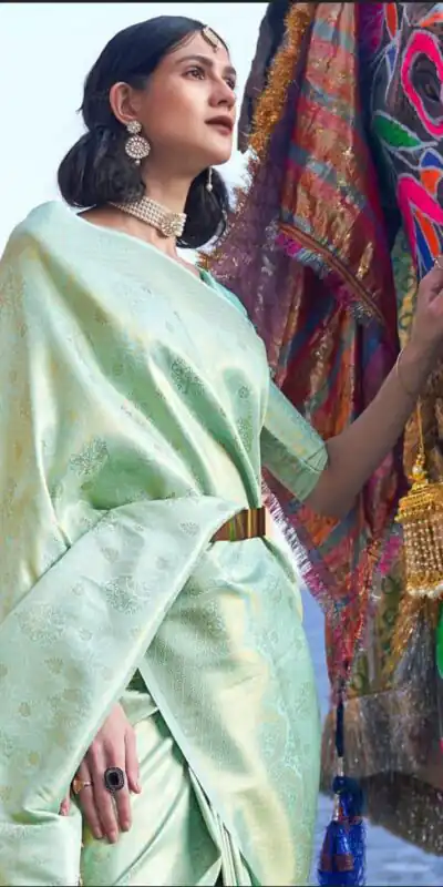 Pista Soft Lichi Silk Saree | Sarees, Bollywood Sarees, Creative Sarees, Designer Sarees, Embroidered Sarees, Ethnic Saree, Modern Digital sarees, Party Wear Sarees
