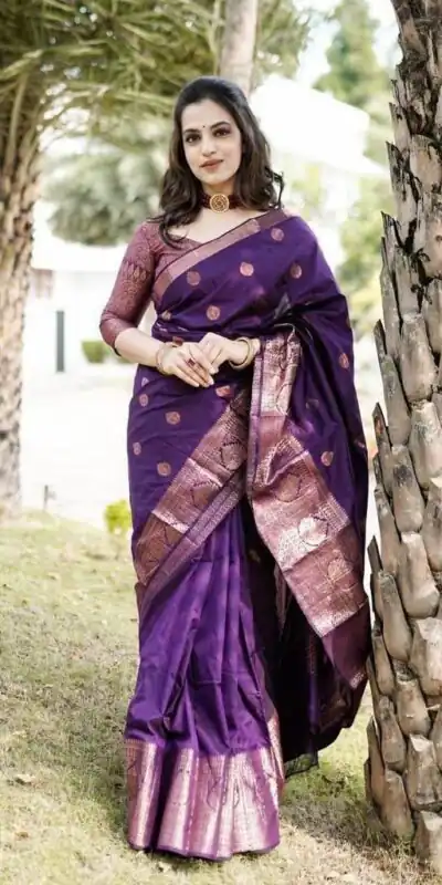 Purple Lichi Silk Rich Pallu Work Border Saree | Sarees, Bollywood Sarees, Creative Sarees, Designer Sarees, Embroidered Sarees, Ethnic Saree, Modern Digital sarees, Party Wear Sarees