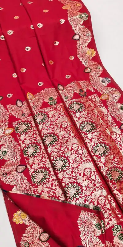 Red Banarasi Lace Work Gold Zari Border Saree | Sarees, Bollywood Sarees, Creative Sarees, Designer Sarees, Embroidered Sarees, Ethnic Saree, Modern Digital sarees, Party Wear Sarees