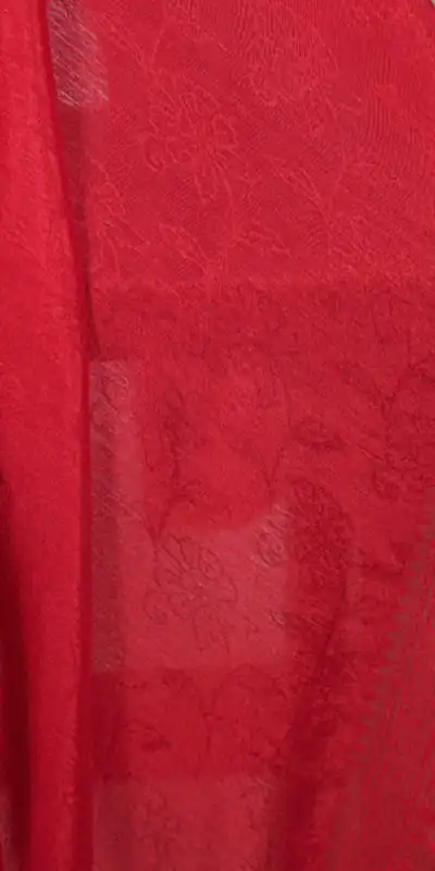 Red Chinon Zari Weaving Work Saree | Sarees, Bollywood Sarees, Creative Sarees, Designer Sarees, Embroidered Sarees, Ethnic Saree, Modern Digital sarees, Party Wear Sarees