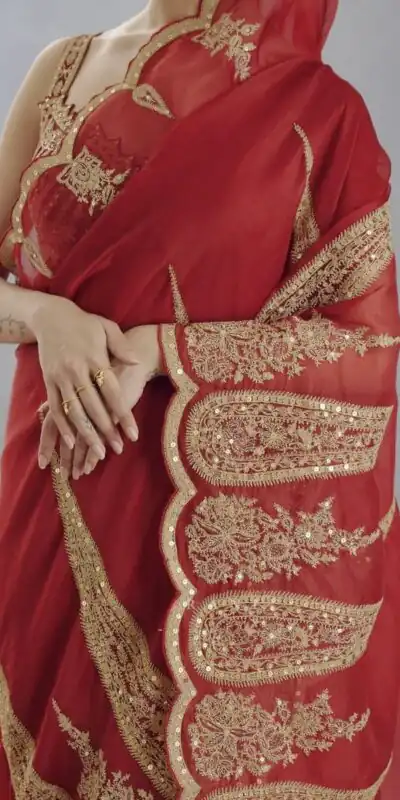 Red Organza Tissue Sequins Work Embroidery Saree | Sarees, Bollywood Sarees, Creative Sarees, Designer Sarees, Embroidered Sarees, Ethnic Saree, Modern Digital sarees, Party Wear Sarees