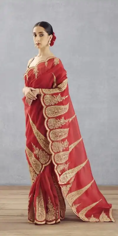 Red Organza Tissue Sequins Work Embroidery Saree | Sarees, Bollywood Sarees, Creative Sarees, Designer Sarees, Embroidered Sarees, Ethnic Saree, Modern Digital sarees, Party Wear Sarees