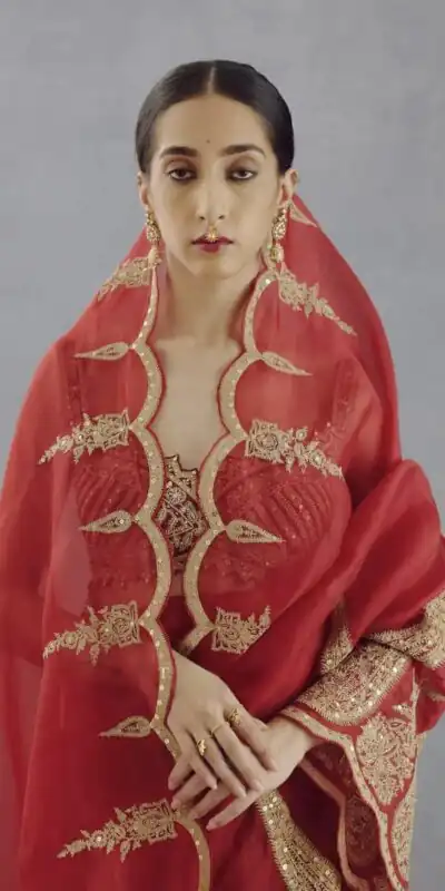 Red Organza Tissue Sequins Work Embroidery Saree | Sarees, Bollywood Sarees, Creative Sarees, Designer Sarees, Embroidered Sarees, Ethnic Saree, Modern Digital sarees, Party Wear Sarees