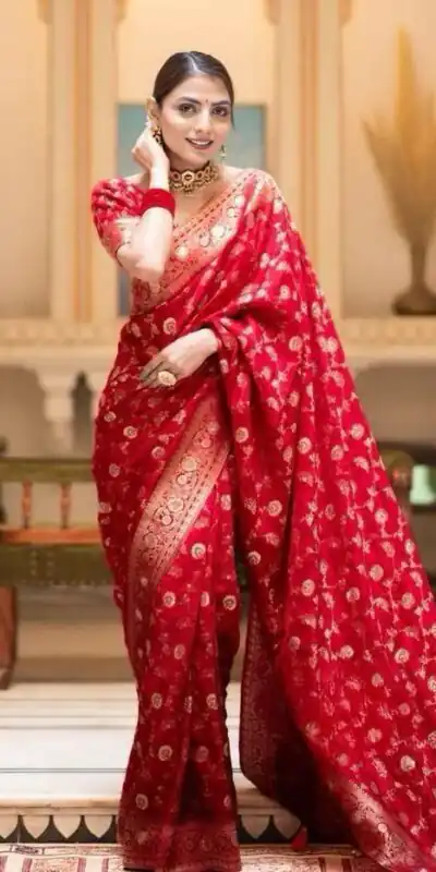 Red Soft Litchi Silk Kubera Pattu Saree | Sarees, Bollywood Sarees, Creative Sarees, Designer Sarees, Embroidered Sarees, Ethnic Saree, Modern Digital sarees, Party Wear Sarees