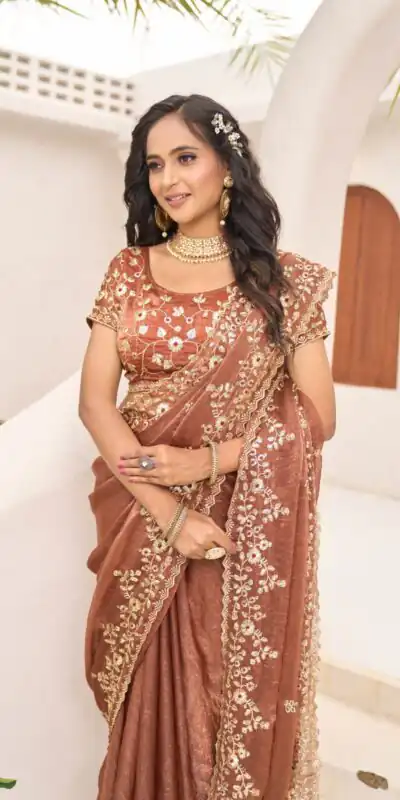 Rust Fandy Chiffon Embroidery Cut Work Saree | Sarees, Bollywood Sarees, Creative Sarees, Designer Sarees, Embroidered Sarees, Ethnic Saree, Modern Digital sarees, Party Wear Sarees