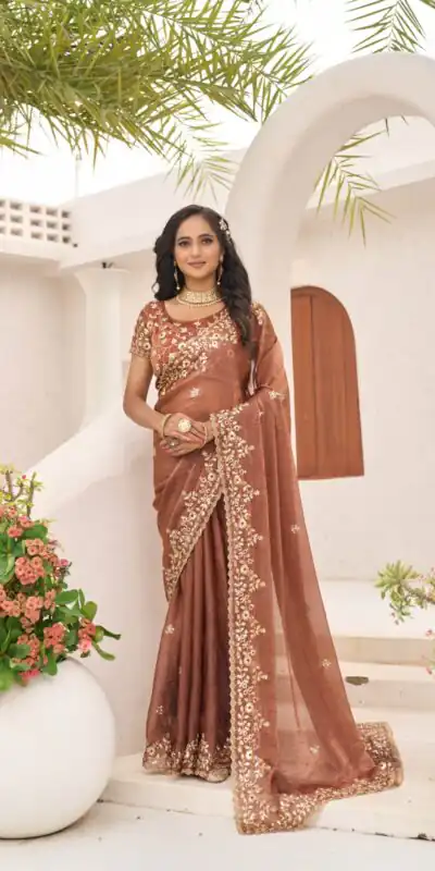 Rust Fandy Chiffon Embroidery Cut Work Saree | Sarees, Bollywood Sarees, Creative Sarees, Designer Sarees, Embroidered Sarees, Ethnic Saree, Modern Digital sarees, Party Wear Sarees