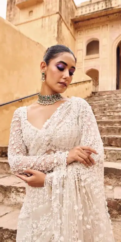 White Butterfly Net With Sequins Work Saree | Sarees, Bollywood Sarees, Creative Sarees, Designer Sarees, Embroidered Sarees, Ethnic Saree, Modern Digital sarees, Party Wear Sarees