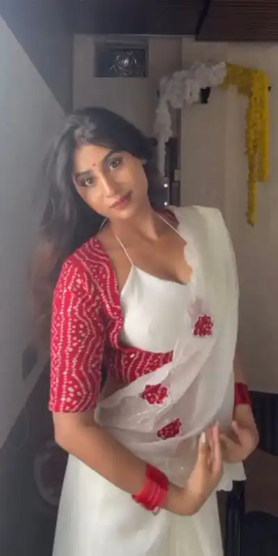 White Chiffon Crystal Hand Work Saree | Sarees, Bollywood Sarees, Creative Sarees, Designer Sarees, Embroidered Sarees, Ethnic Saree, Modern Digital sarees, Party Wear Sarees