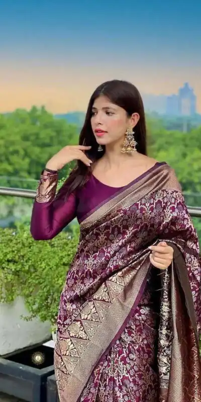 Wine Soft Silk Jacquard Saree | Sarees, Bollywood Sarees, Creative Sarees, Designer Sarees, Embroidered Sarees, Ethnic Saree, Modern Digital sarees, Party Wear Sarees