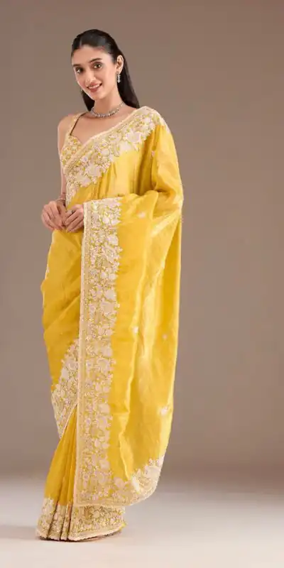 Yellow Gold Crush Sequins Work Border Saree | Sarees, Bollywood Sarees, Creative Sarees, Designer Sarees, Embroidered Sarees, Ethnic Saree, Modern Digital sarees, Party Wear Sarees