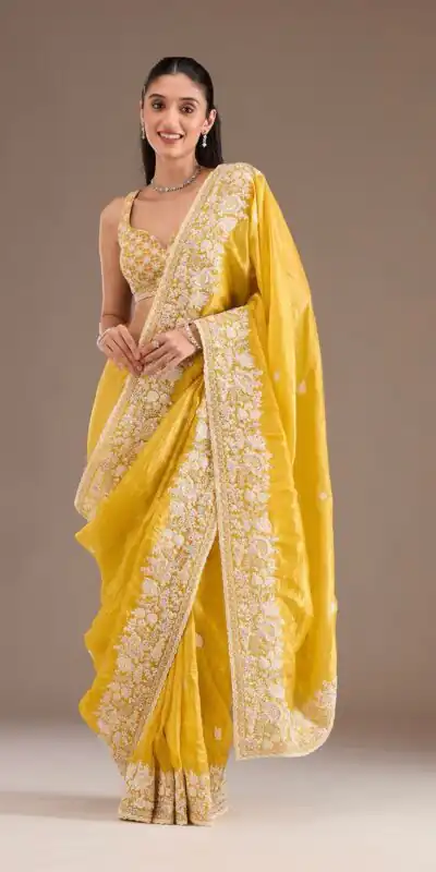 Yellow Gold Crush Sequins Work Border Saree | Sarees, Bollywood Sarees, Creative Sarees, Designer Sarees, Embroidered Sarees, Ethnic Saree, Modern Digital sarees, Party Wear Sarees