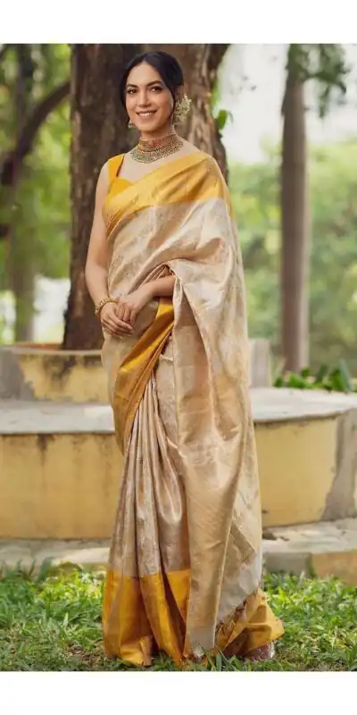 Yellow Soft Litchi Silk Golden Jari Jacquard Border Saree | Sarees, Bollywood Sarees, Creative Sarees, Designer Sarees, Embroidered Sarees, Ethnic Saree, Modern Digital sarees, Party Wear Sarees